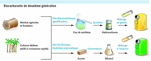 Etapes de la fabrication des biocarburants
